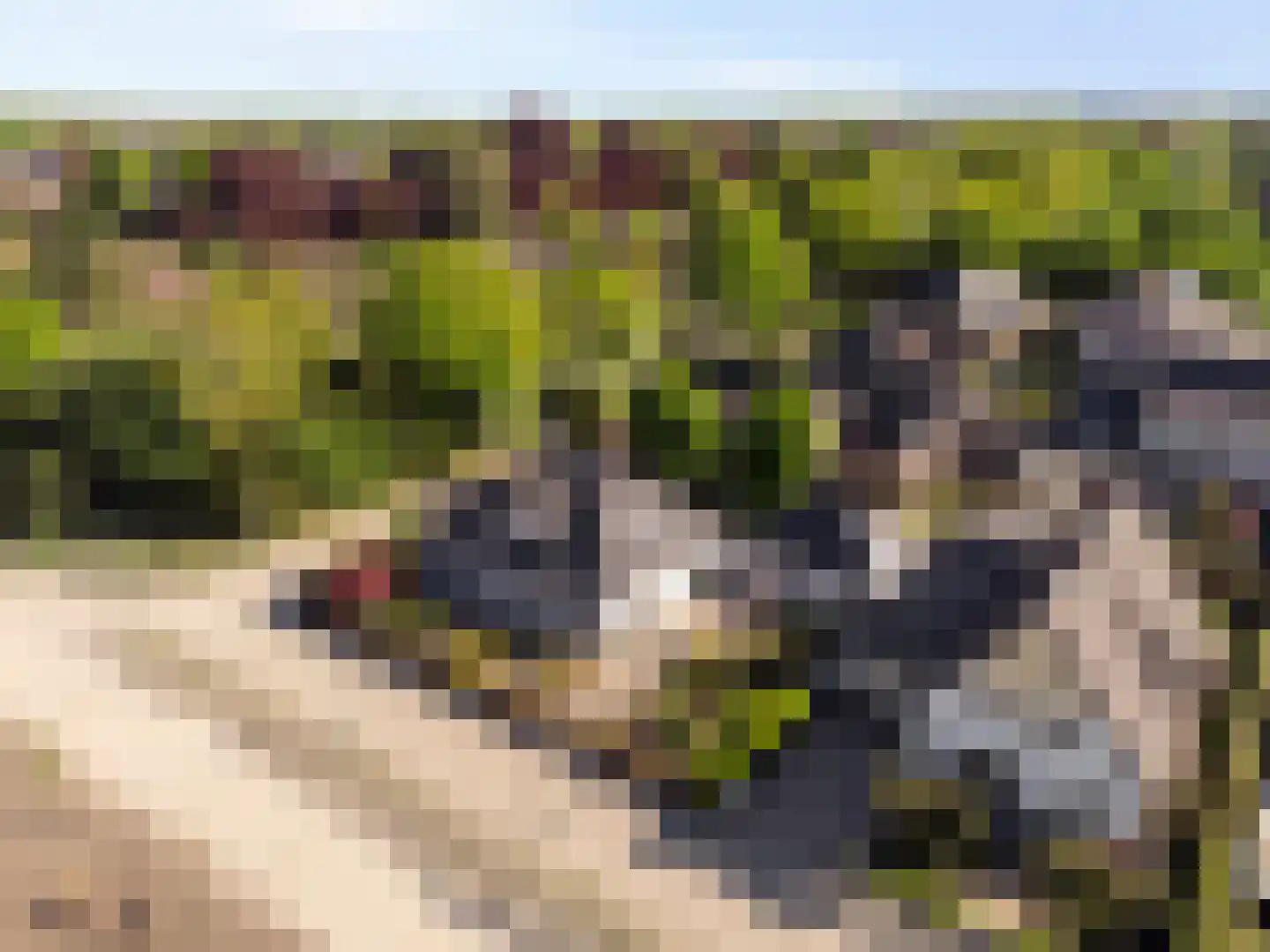 Schuurmanskamp 13 Lunteren thumbnail 44