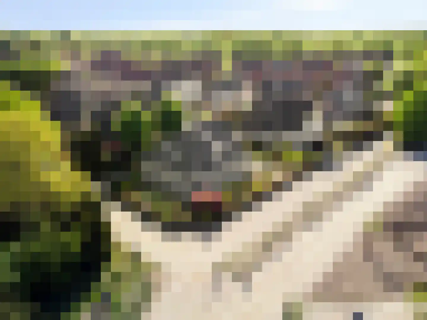 Schuurmanskamp 13 Lunteren thumbnail 46