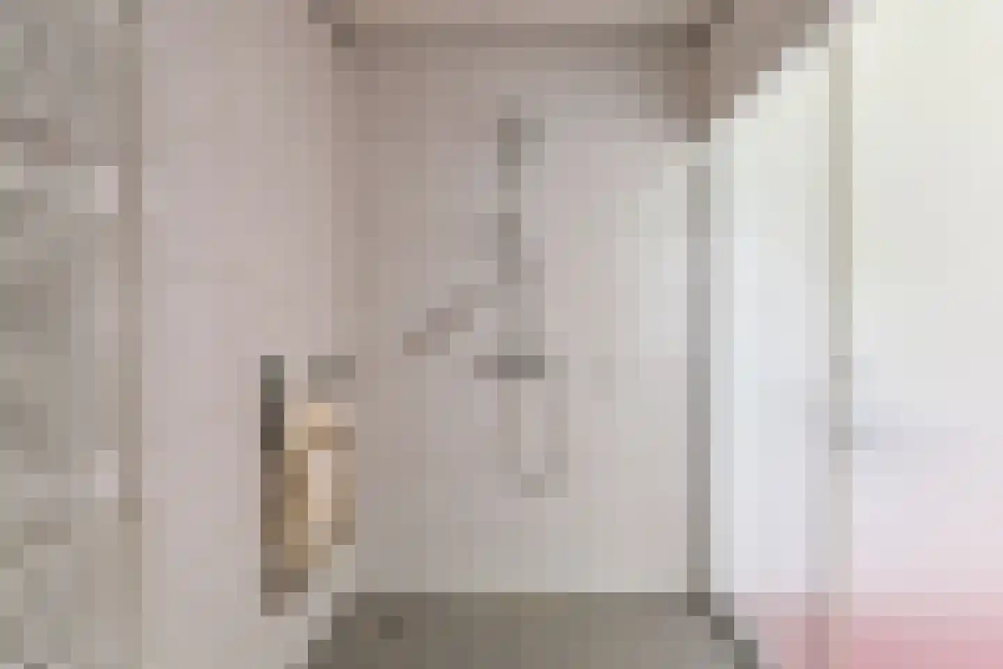 Schuurmanslaantje 18 Nieuwleusen thumbnail 25