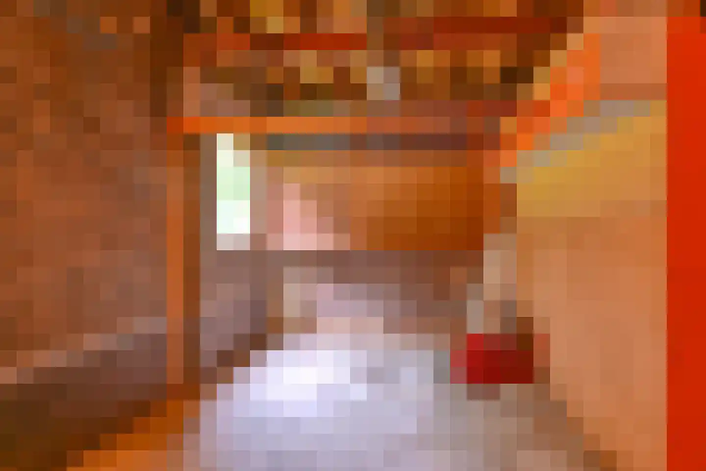 Schuurmanslaantje 18 Nieuwleusen thumbnail 30
