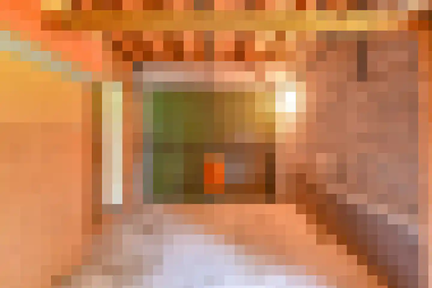 Schuurmanslaantje 18 Nieuwleusen thumbnail 31