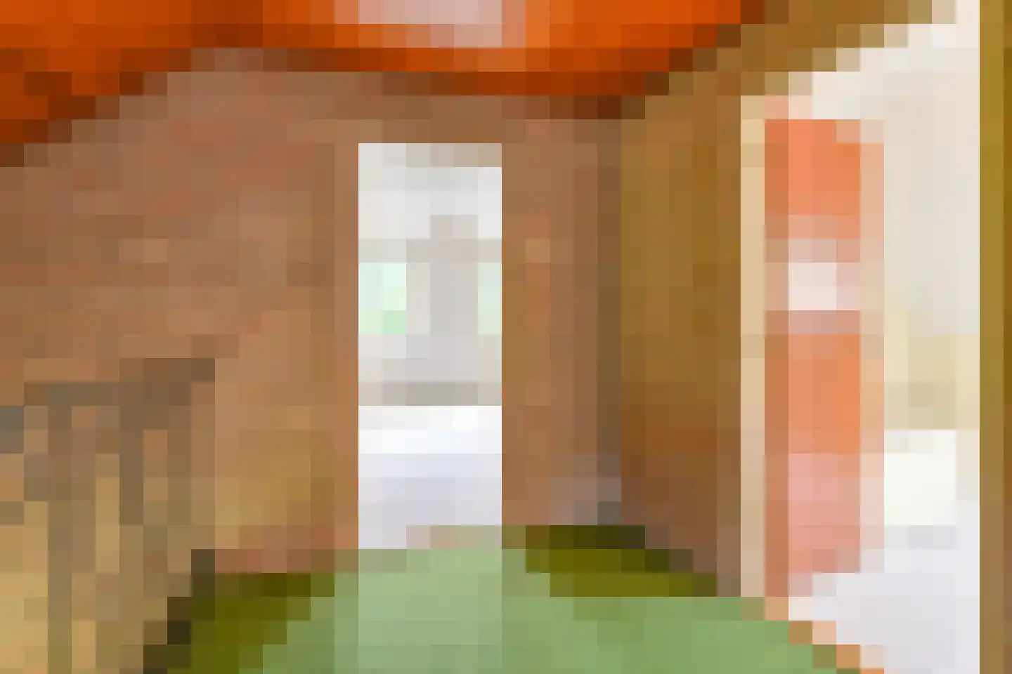 Schuurmanslaantje 18 Nieuwleusen thumbnail 32
