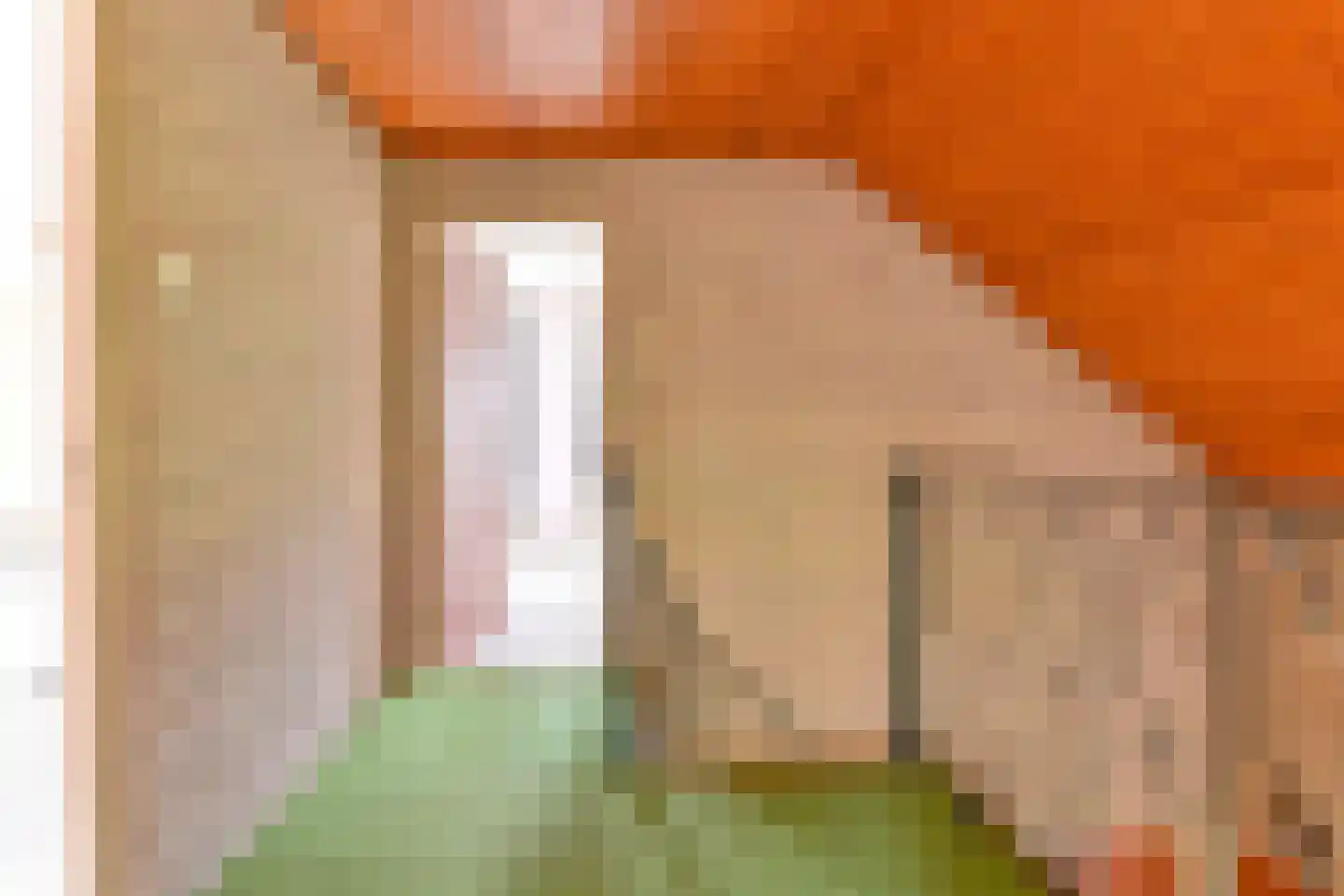 Schuurmanslaantje 18 Nieuwleusen thumbnail 33