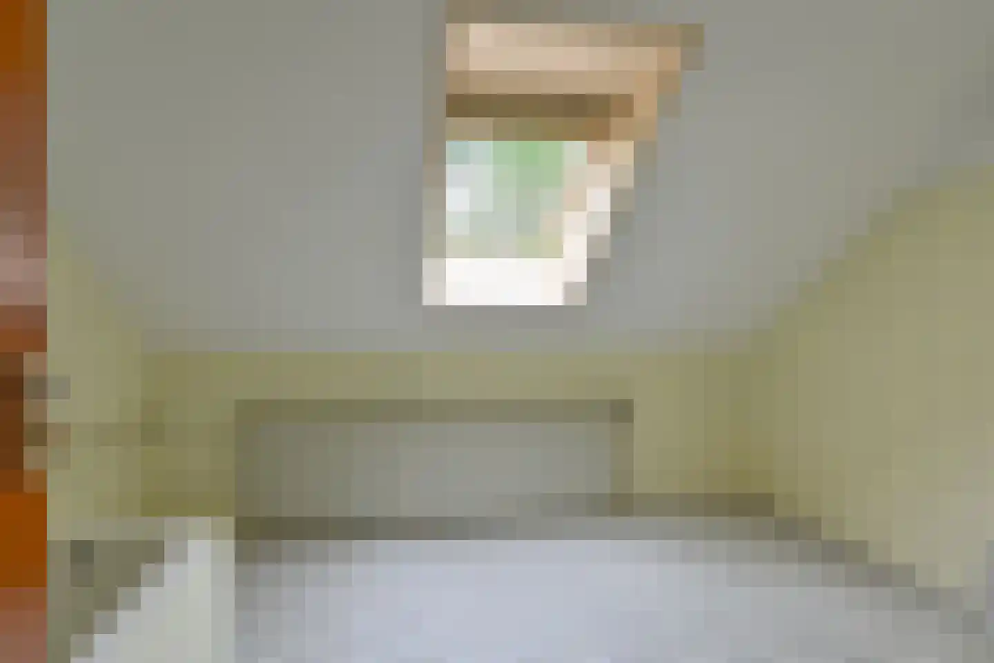 Schuurmanslaantje 18 Nieuwleusen thumbnail 36