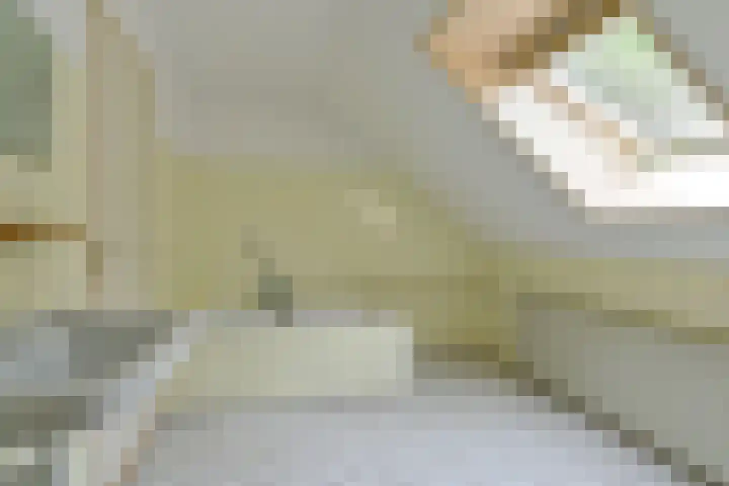 Schuurmanslaantje 18 Nieuwleusen thumbnail 37