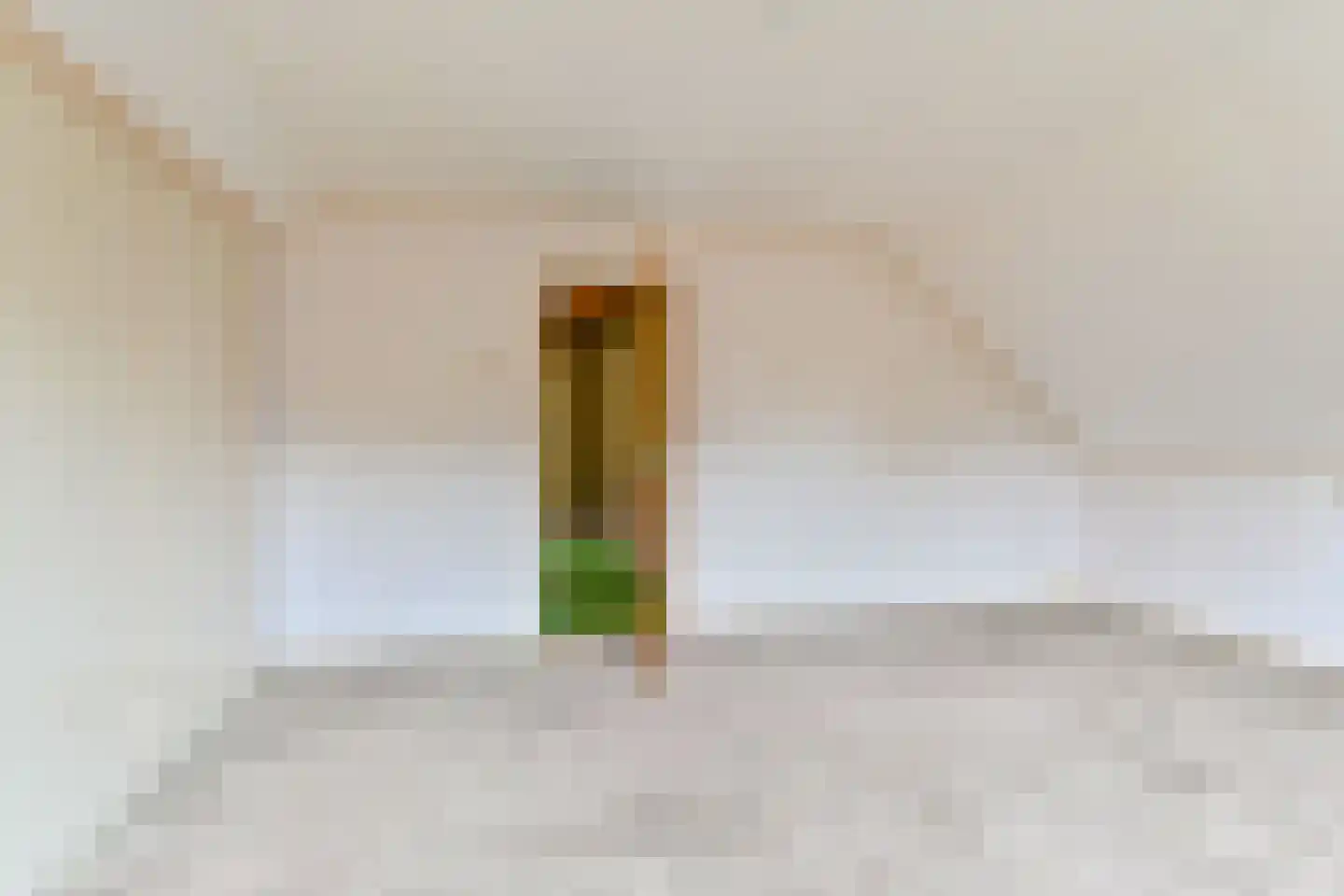 Schuurmanslaantje 18 Nieuwleusen thumbnail 41