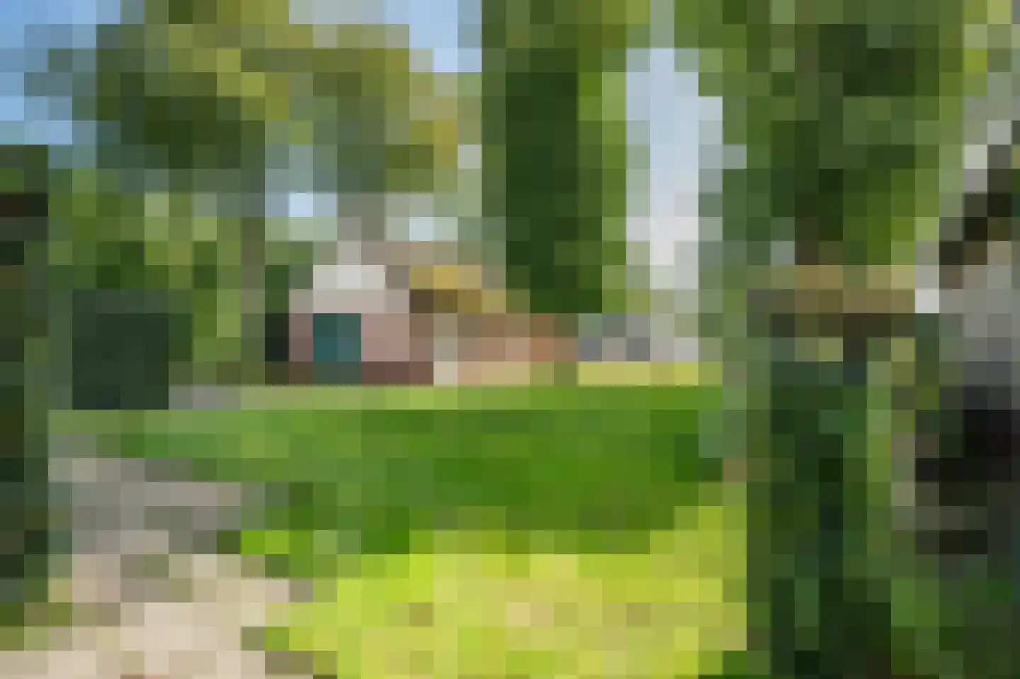 Schuurmanslaantje 18 Nieuwleusen thumbnail 43