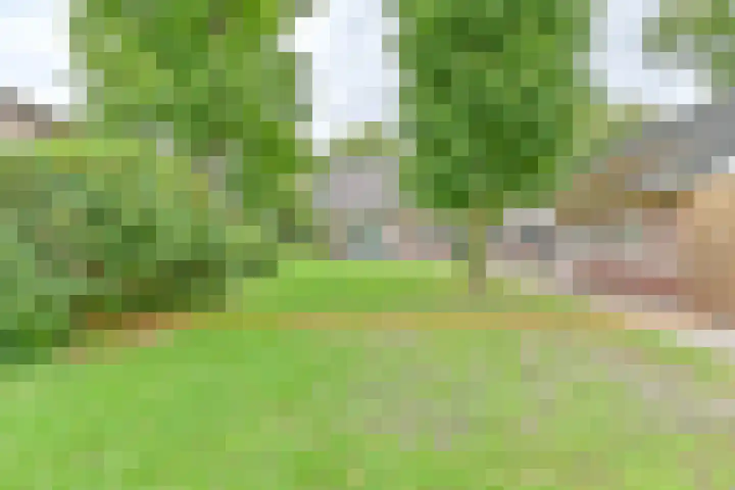 Schuurmanslaantje 18 Nieuwleusen thumbnail 47