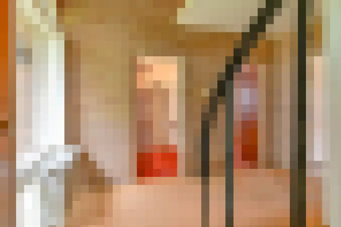 Schuurmanslaantje 18 Nieuwleusen thumbnail 5