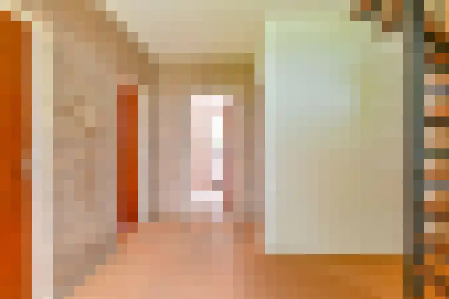 Schuurmanslaantje 18 Nieuwleusen thumbnail 6