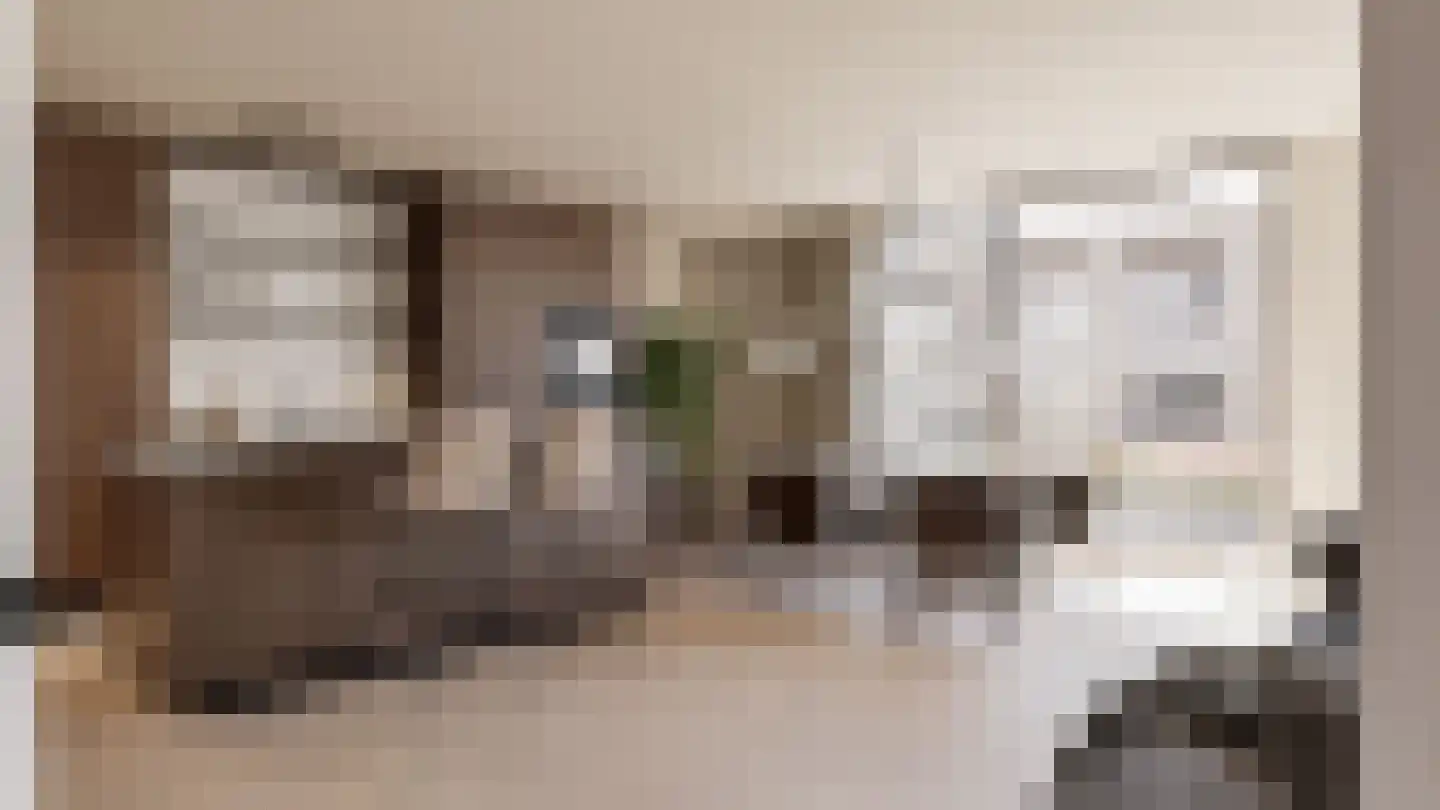 Schuurmanstraat 37 E Zwolle thumbnail 19