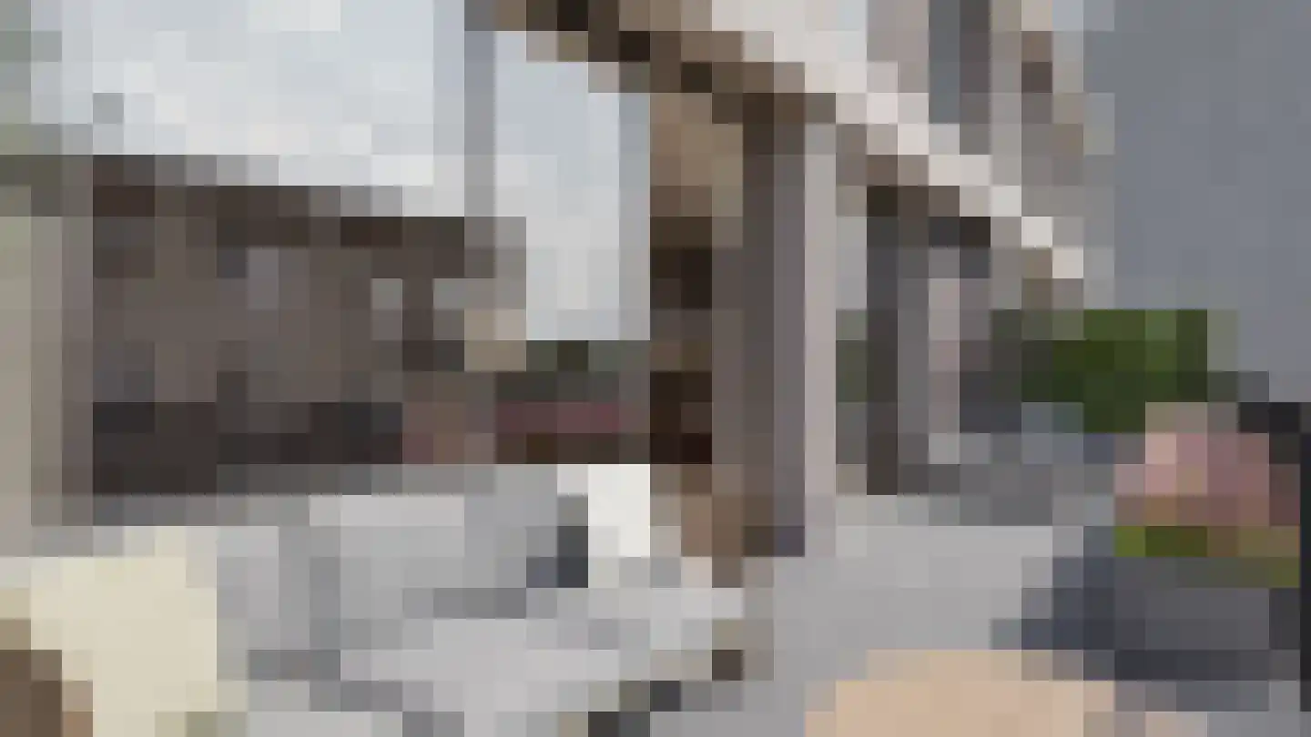 Schuurmanstraat 37 E Zwolle thumbnail 30