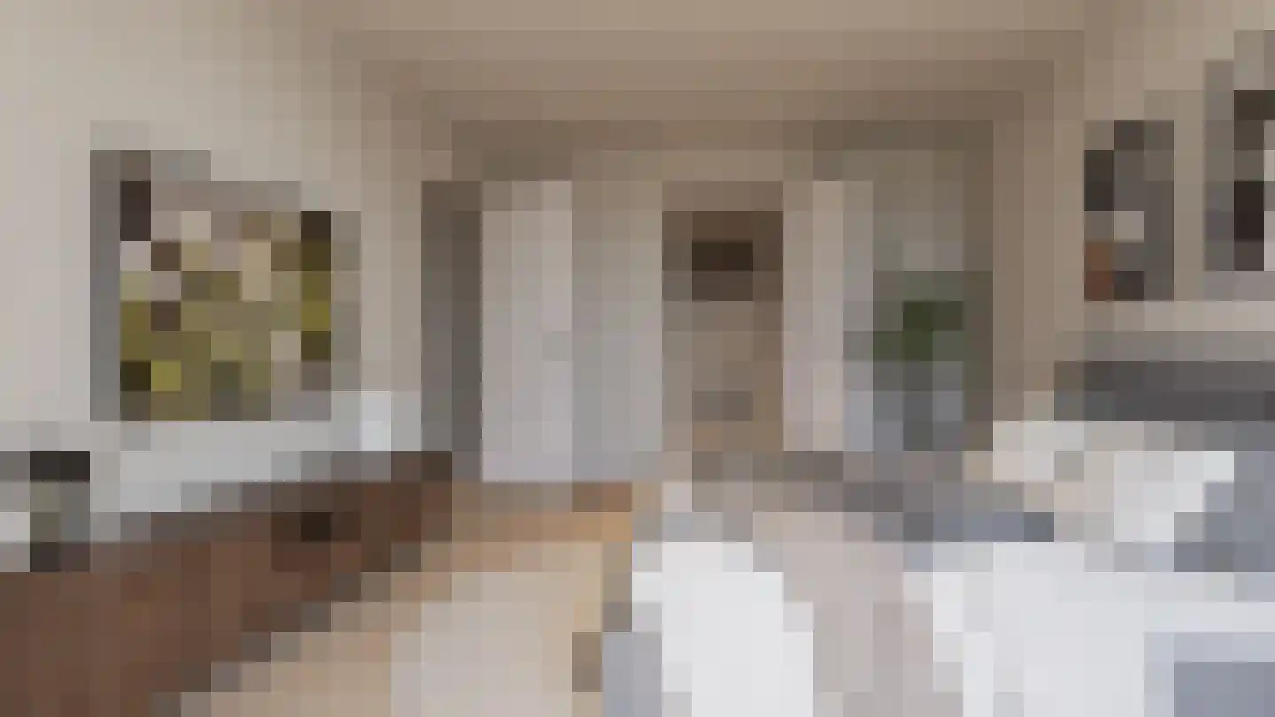 Schuurmanstraat 37 E Zwolle thumbnail 36