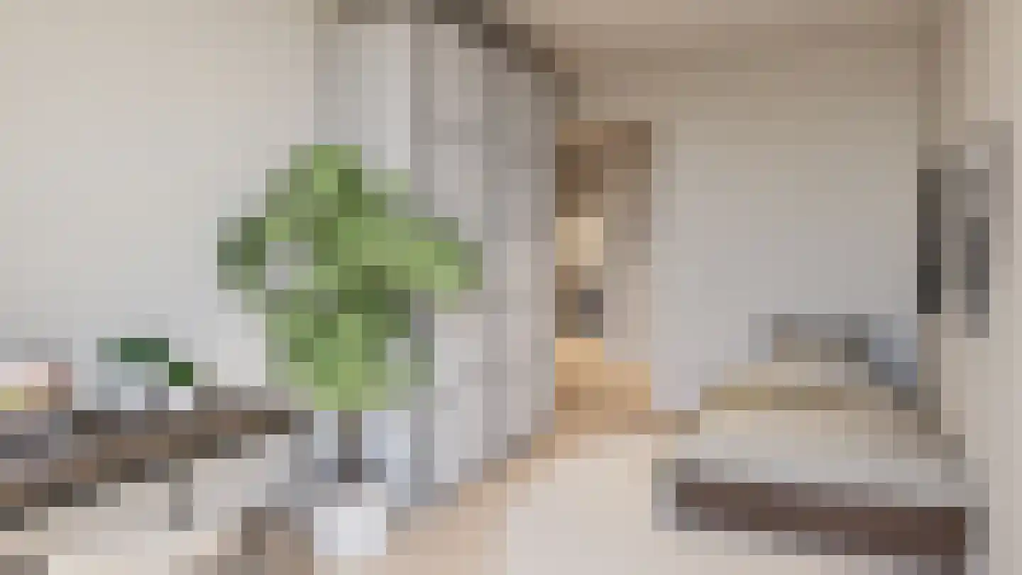 Schuurmanstraat 37 E Zwolle thumbnail 45