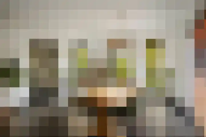 Schuurmansweg 1 B Diepenveen thumbnail 16