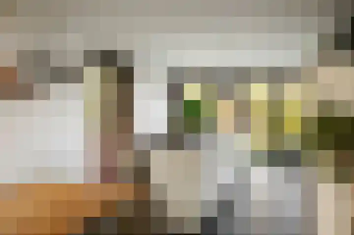 Schuurmansweg 1 B Diepenveen thumbnail 17