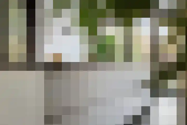 Schuurmansweg 1 B Diepenveen thumbnail 18