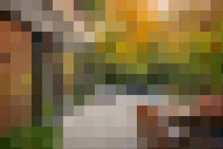 Schuurmansweg 1 B Diepenveen thumbnail 24