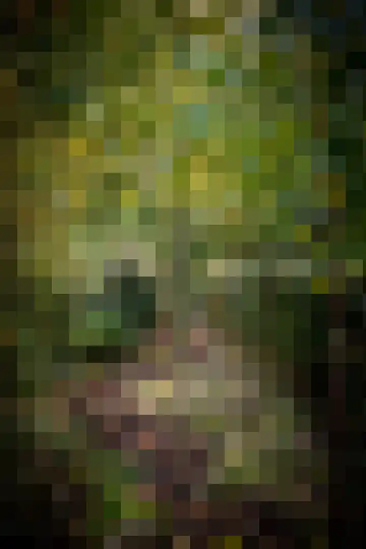 Schuurmansweg 1 B Diepenveen thumbnail 25