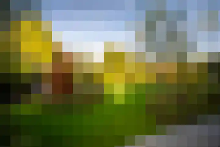 Schuurmansweg 1 B Diepenveen thumbnail 26