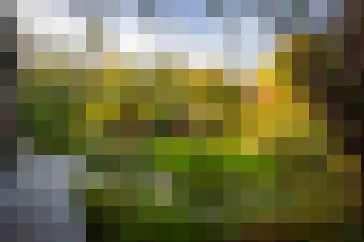 Schuurmansweg 1 B Diepenveen thumbnail 27