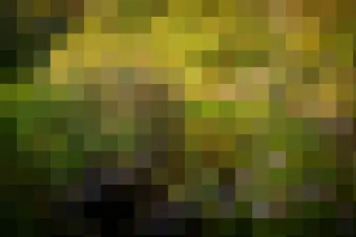 Schuurmansweg 1 B Diepenveen thumbnail 29