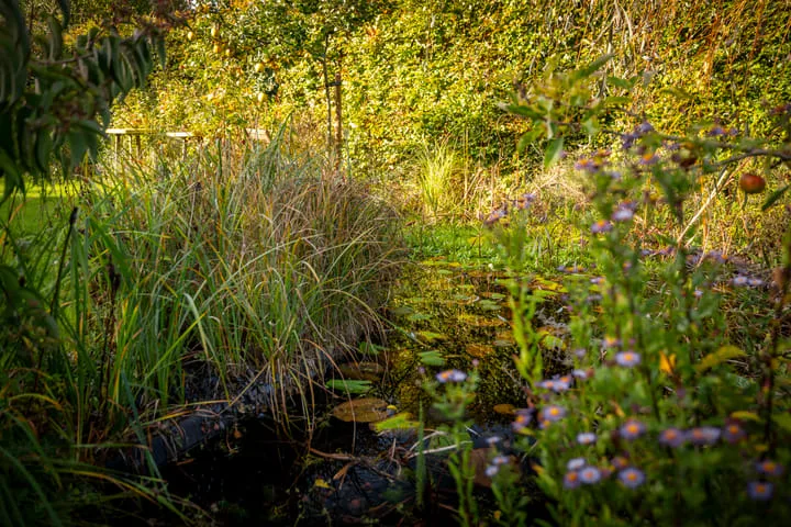Schuurmansweg 1 B Diepenveen thumbnail 29