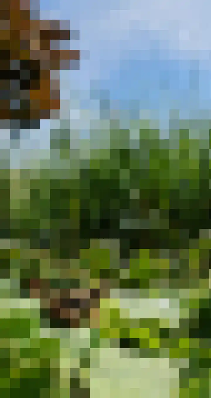 Schuurmansweg 1 B Diepenveen thumbnail 30