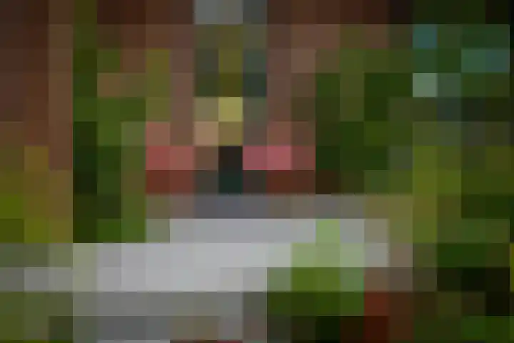 Schuurmansweg 1 B Diepenveen thumbnail 32
