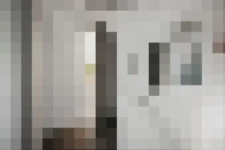 Schuurmansweg 1 B Diepenveen thumbnail 34
