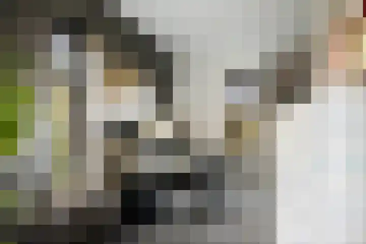 Schuurmansweg 1 B Diepenveen thumbnail 38