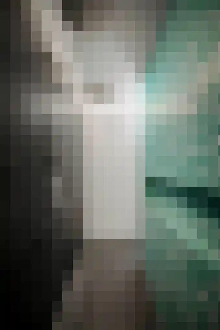Schuurmansweg 1 B Diepenveen thumbnail 43