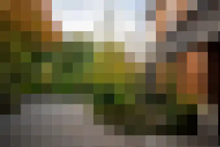 Schuurmansweg 1 B Diepenveen thumbnail 44
