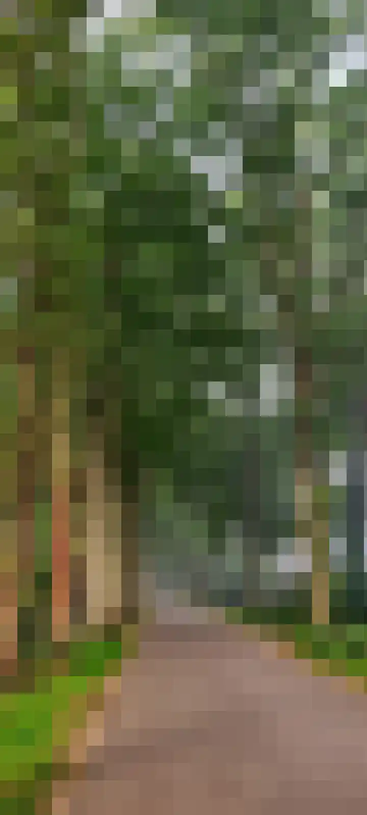 Schuurmansweg 1 B Diepenveen thumbnail 47