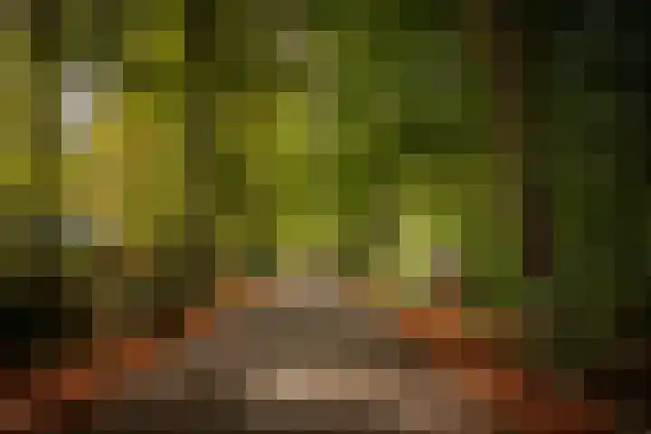 Schuurmansweg 1 B Diepenveen thumbnail 48