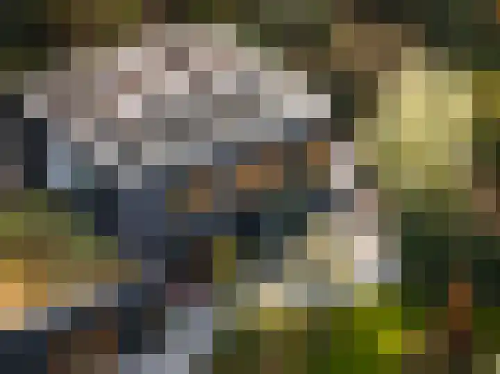Schuurmansweg 1 B Diepenveen thumbnail 5