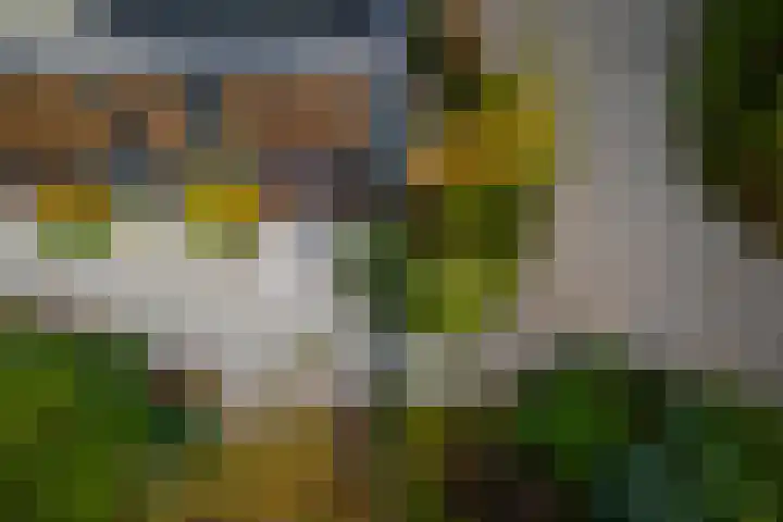 Schuurmansweg 1 B Diepenveen thumbnail 6
