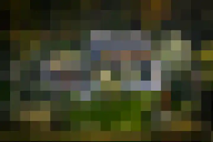Schuurmansweg 1 B Diepenveen thumbnail 7