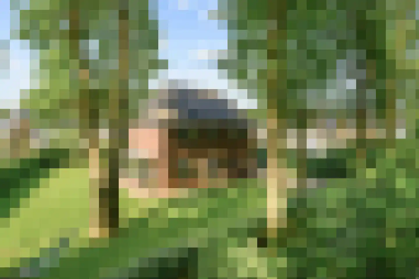Schuurmansweg 1 D in Diepenveen