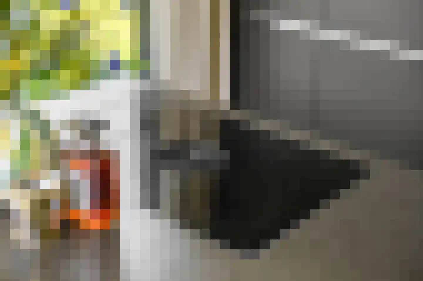 Schuurmansweg 1 D Diepenveen thumbnail 13