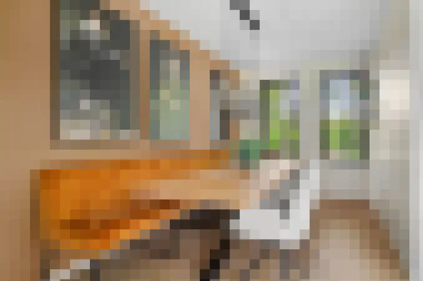 Schuurmansweg 1 D Diepenveen thumbnail 20