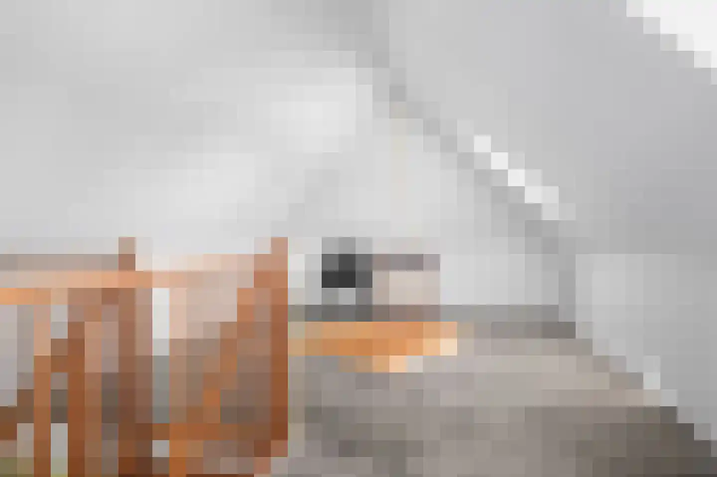 Schuurmansweg 1 D Diepenveen thumbnail 30