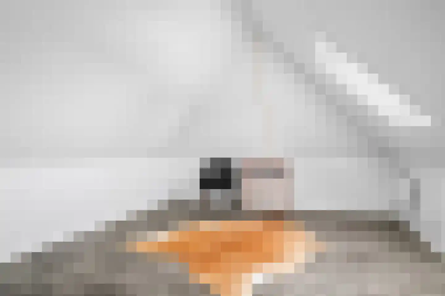 Schuurmansweg 1 D Diepenveen thumbnail 31