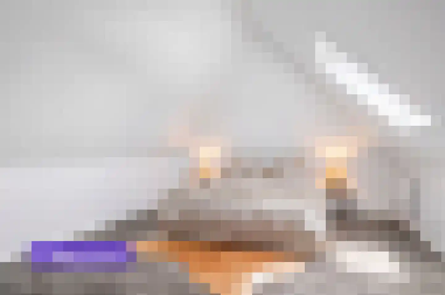 Schuurmansweg 1 D Diepenveen thumbnail 32