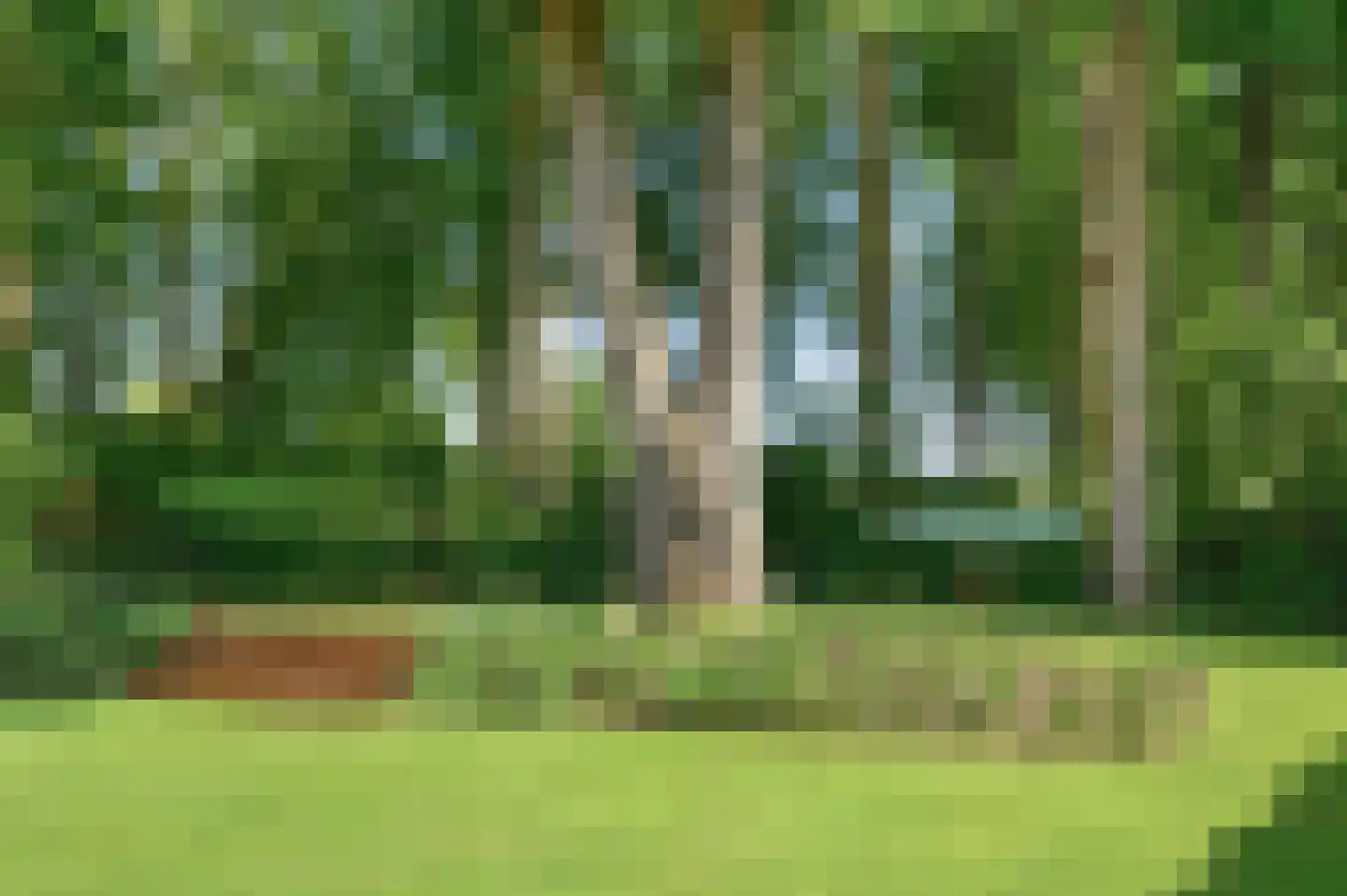 Schuurmansweg 1 D Diepenveen thumbnail 41