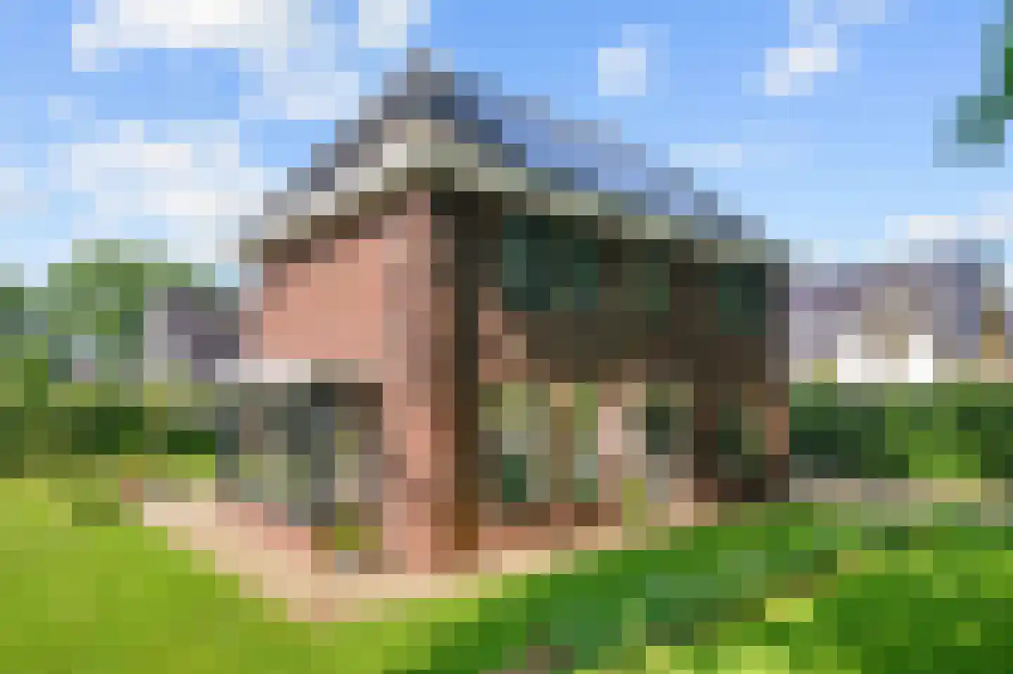Schuurmansweg 1 D Diepenveen thumbnail 43