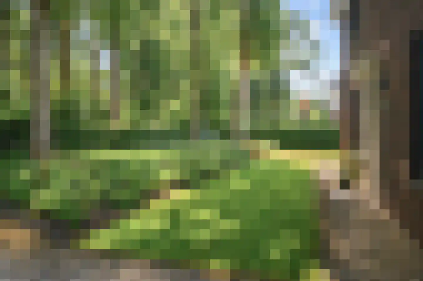 Schuurmansweg 1 D Diepenveen thumbnail 44
