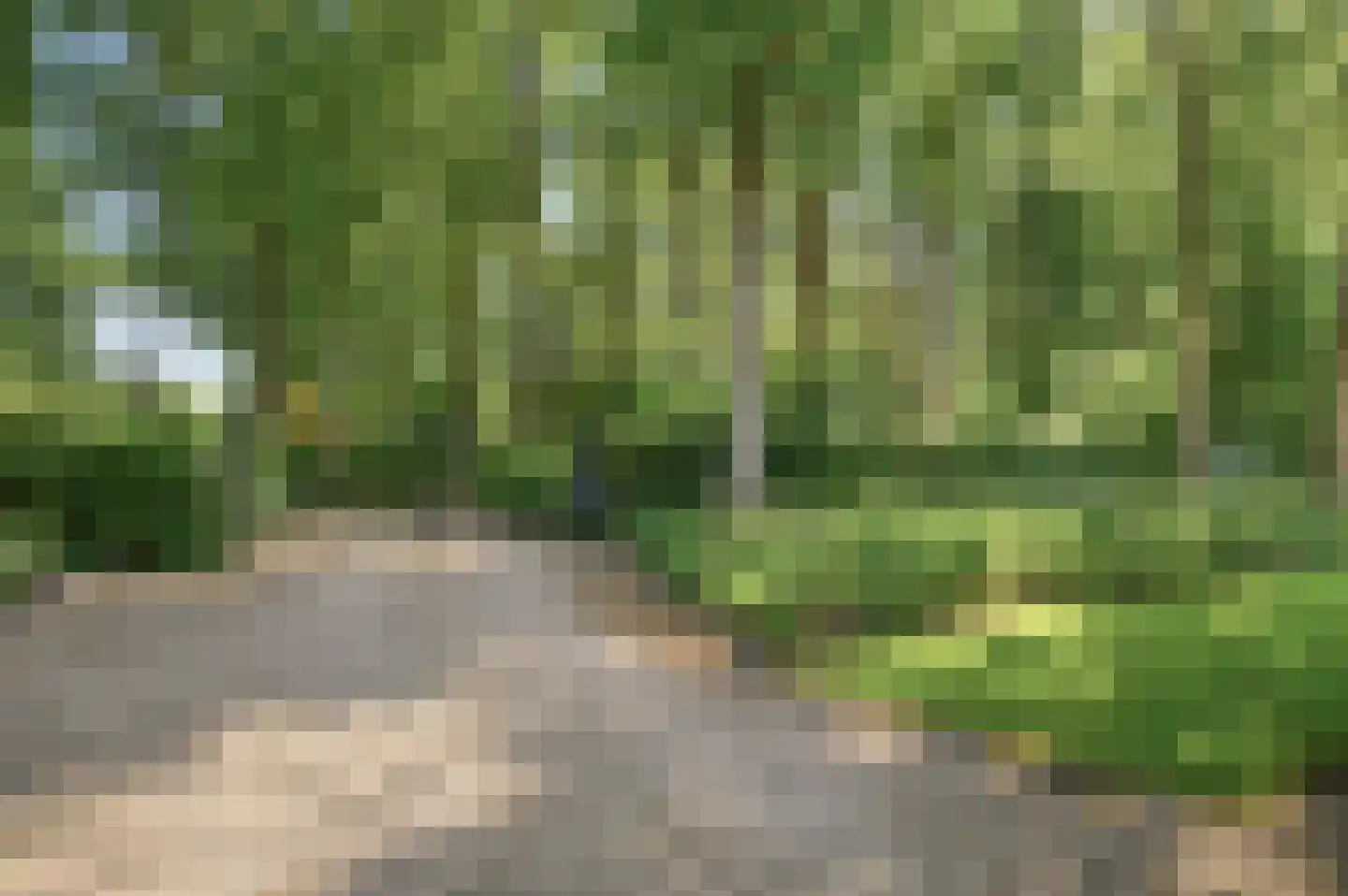 Schuurmansweg 1 D Diepenveen thumbnail 48