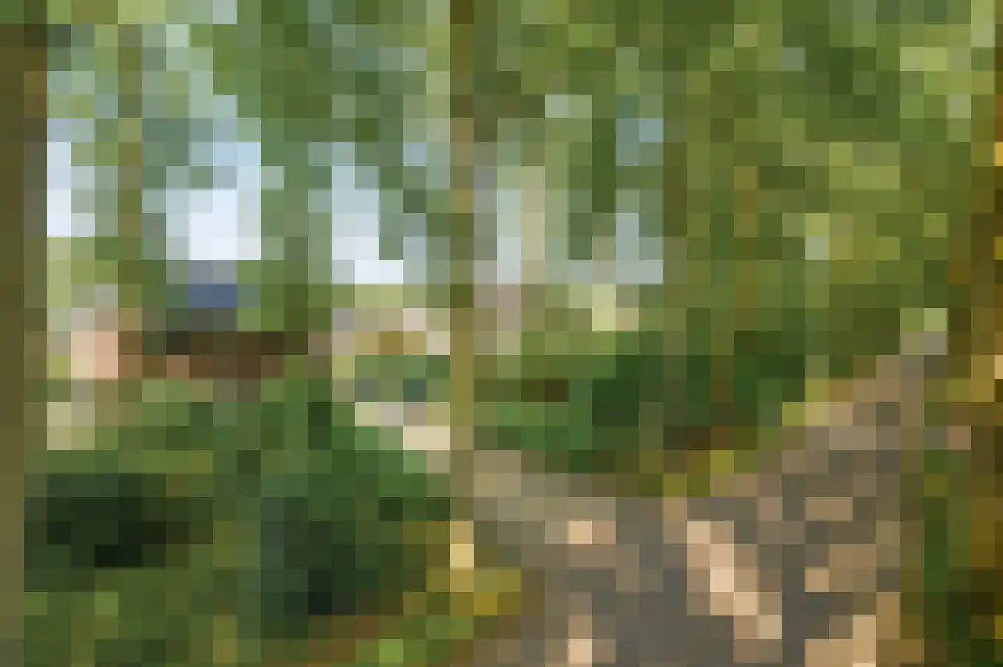 Schuurmansweg 1 D Diepenveen thumbnail 50