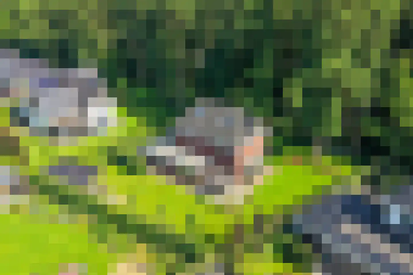 Schuurmansweg 1 D Diepenveen thumbnail 51